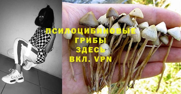 кокс Нея