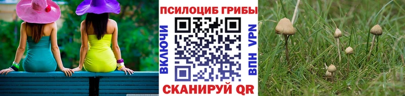 Галлюциногенные грибы прущие грибы  Лангепас 