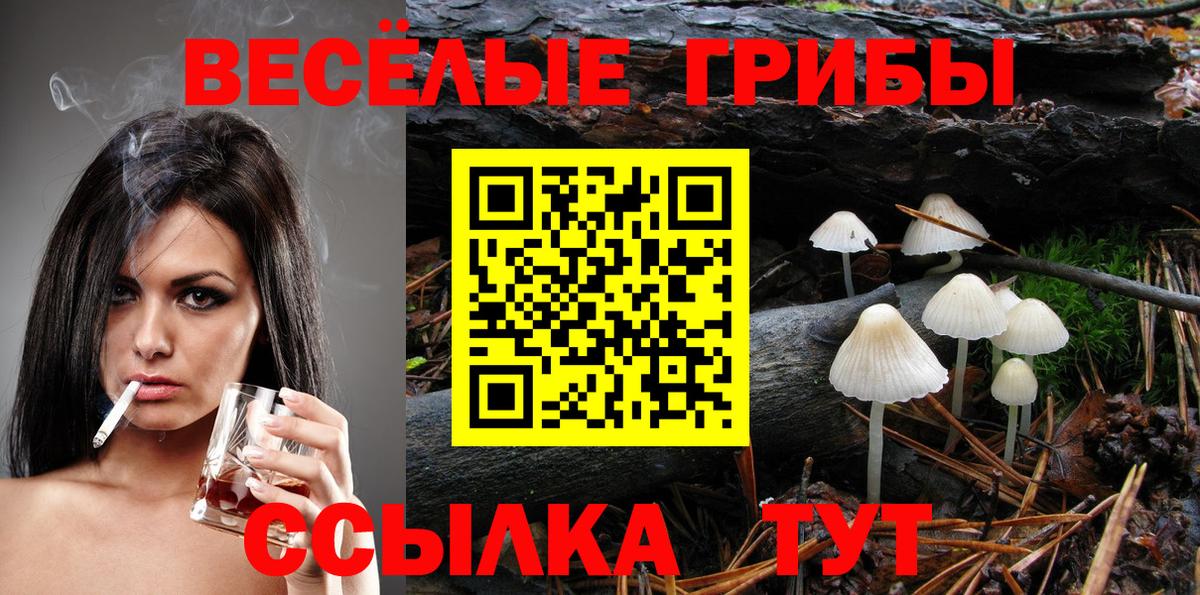 Галлюциногенные грибы Psilocybine cubensis Лангепас