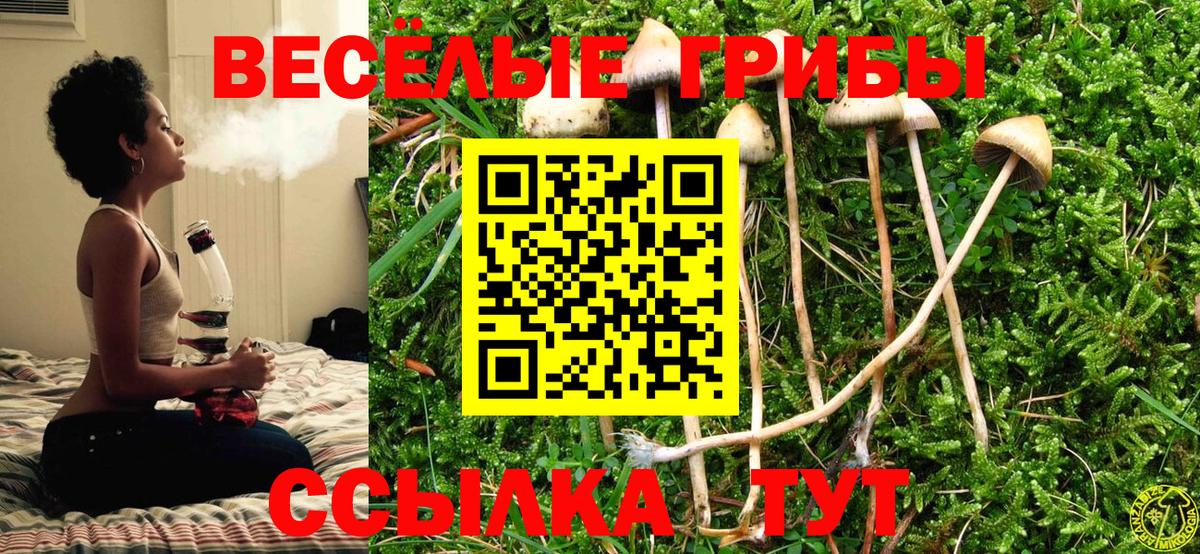 Псилоцибиновые грибы Psilocybine cubensis  Лангепас  Псилоцибиновые грибы MAGIC MUSHROOMS 