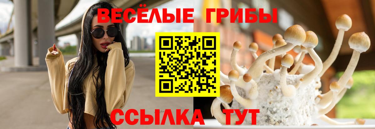 купить наркотик  Псилоцибиновые грибы Psilocybine cubensis  Вход с VPN  Лангепас 
